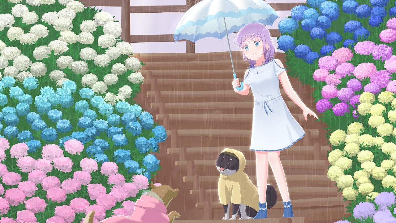 うさくま様　かたつむり柴犬と紫陽花 maxresdefault.jpg