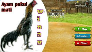 Ayam Pukul Mati Cepat ( Game Offline ) Rooster Fighting Google playstor