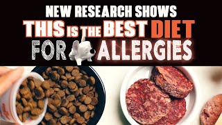 What's the best diet for dog allergies?