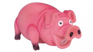 squeaky pig