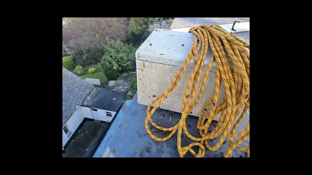 Newlyn Swarm Rescue with a View!
