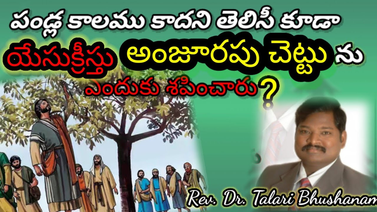 పండ్ల కాలము కాదని తెలిసీ కూడా  అంజూరపు చెట్టు ను యేసుక్రీస్తు ఎందుకు శపించారు /Rev T. Bhushanam/