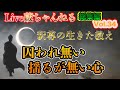 VOL,34【最強メンタル 囚われ無い揺るが無い心】【怨憎会苦から抜け出す】【失敗や障壁は恐れる必要がない】【無気力の原因に意外なものが!】釈尊の生きた教え