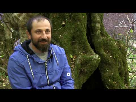 ცხოველები და ბრაკონიერები მორაგბე გარემოსდამცველის ფოტოხაფანგში