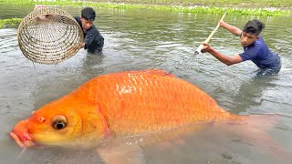 Amazing Big Fish Catching By Polo | Traditional Village Boys Catching Fish With Polo And Teta Trap