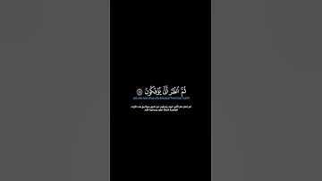 سورة المائدة: الآية [٧٥-٧٦]#القرآن_الكريم #الفرقان #سورة_المائدة #محمد_اللحيدان #تلاوة #آيات
