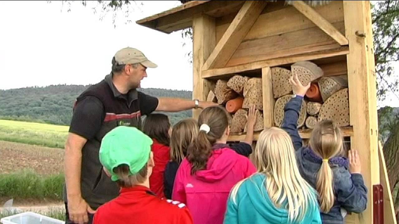 Kinder Bauen Ein Insektenhotel You
