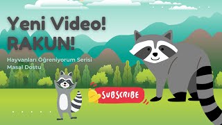 Hayvanlari Öğreni̇yorum - Rakun - Masal Dostu. Eği̇ti̇ci̇ Okul Öncesi̇ Vi̇deolari - Hayvanlar Seri̇si̇.