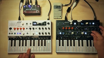 More Space for my Music (Scaled Sequence Play + 2. Microfreak)