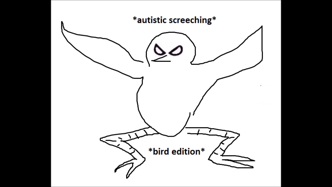 Autistic Screeching Bird Edition 10 Hour YouTube