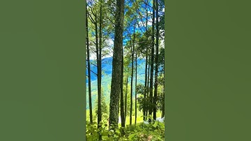 #nepaliviralsong #fypviral #views_viral_video_subscribers_grow #viralvideo