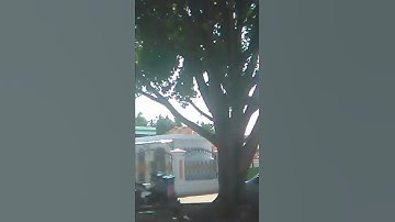 Masjid Ds Kubang,Kec Talun.Kab Cirebon