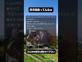 外国人生活保護を見直さない厚労省