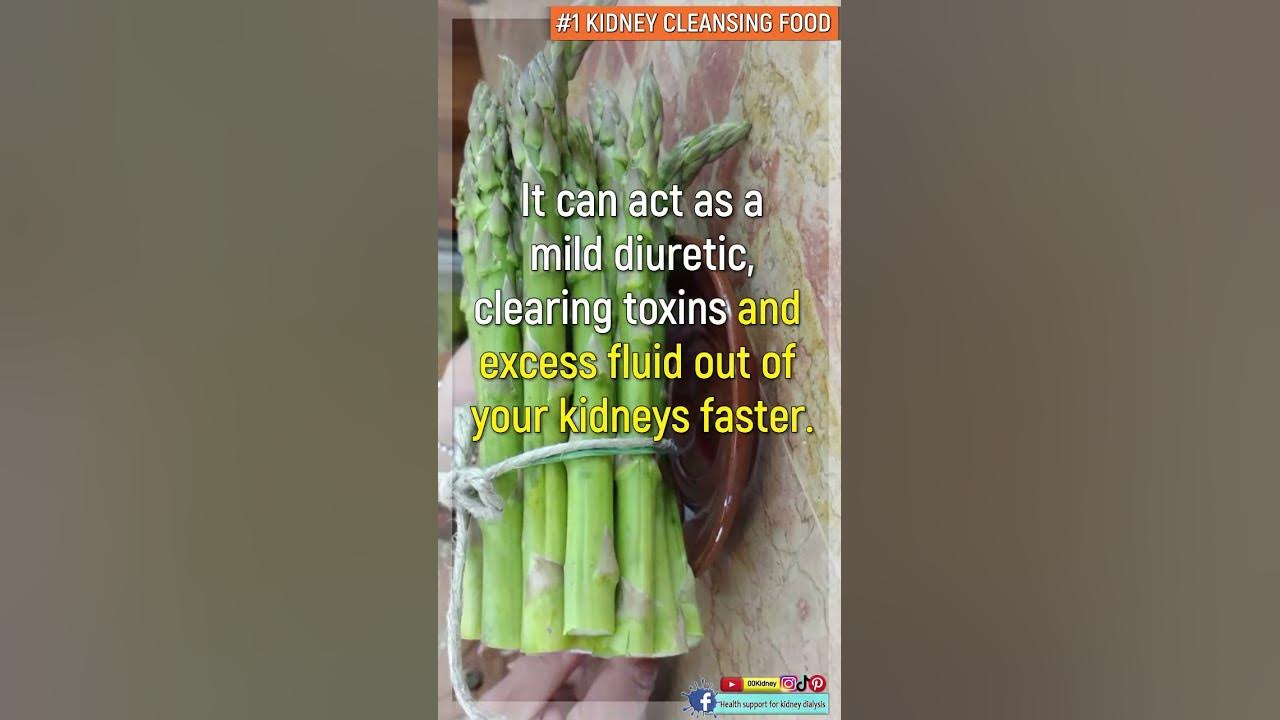 The 1 Best Food To Increase Kidney Function shorts YouTube the-1-best-food-to-increase-kidney-function-shorts-youtube