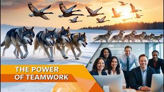 You've Been Approaching Teamwork WRONG All Along
