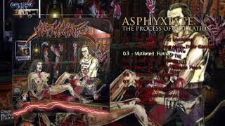 ASPHYXIATE  - THE PROCESS OF MUTILATION | FULL ALBUM|  HD