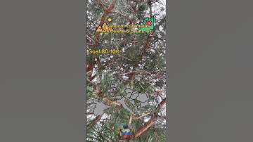 6 random comments will delete 6 countries #mapping #map #geography #europe