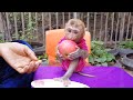 Woohoo, Little Baby Koko Very Strongly Eating Apple | Baby Koko Can't Wait Mom Cutting For Him