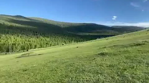 video e2983229 ae89 4b75 9ecd 2297b2cb12e1 1664432064