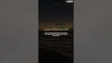 وَقَالَ رَبُّكُمُ ادْعُونِي أَسْتَجِبْ لَكُمْ | الشيخ ياسر الدوسري | سورة غافر #قرآن