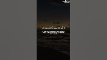 وَقَالَ رَبُّكُمُ ادْعُونِي أَسْتَجِبْ لَكُمْ | الشيخ ياسر الدوسري | سورة غافر #قرآن