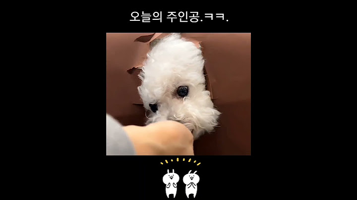 오늘의 주인공 ㅋㅋ