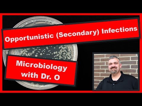 Secondary Infections and Opportunistic Infections:  Microbiology