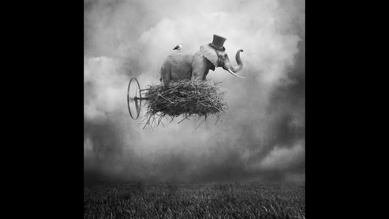 Coccolino Deep - Don't forget to fly