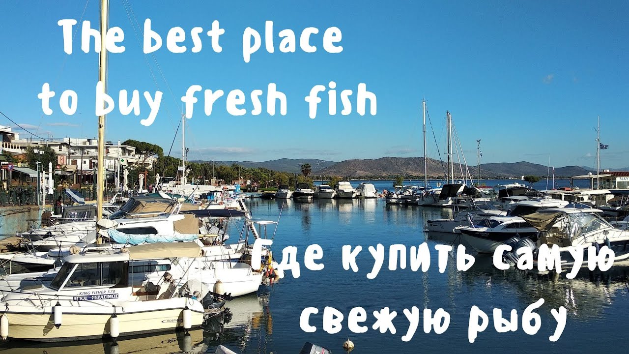 The best place to buy fresh fish. Где купить самую свежую рыбу. - YouTube
