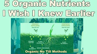 5 Organic Nutrients That I Wish I Knew About Earlier! PT 1