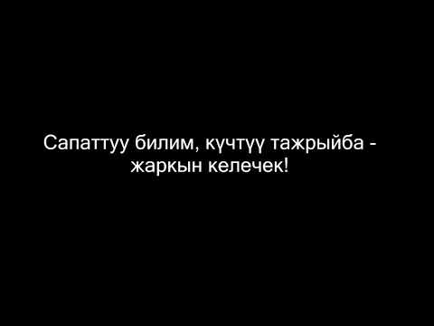 Video: Түштүк Кореяда Этке Багылган Иттер АКШда Жаңы Жашоону Башташты