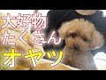 うれしくすごく喜んでますよ