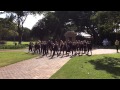 Wayne & Mardina Flashmob Proposal 25/4/15