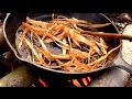 Wild Food Foraging- Tree Bark- Cambium- Emergency Food