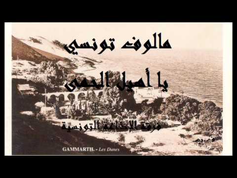 مالوف تونسي  يا أهيل الحمى