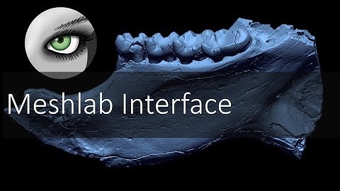 Meshlab Interface | Introduction to Digital Preparation Video 14