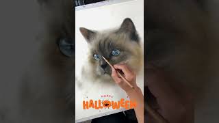 Happy Haunting! The Ghost of Fluff is Here 👻