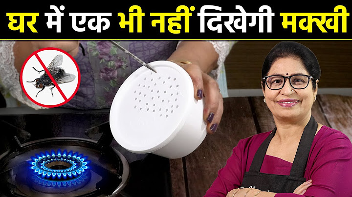 बस 5 मिनट में घर से सारी मक्खियां होंगी बाहर, इस 100% असरदार घरेलू नुस्खे से Get Rid Of House Flies