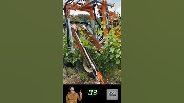 Grape Harvesting Just Got CRAZY with New Machine Technology