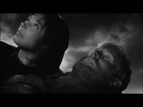 Андрей Державин - журавли