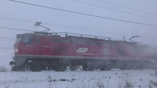 ﾎﾜｲﾄｱｳﾄ手前。吹雪の中を下るEF510-8牽引高速貨物【4K】信越本線下り
