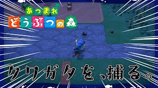 【あつ森】８月終わる前にクワガタ全部捕まえようのチル雑談