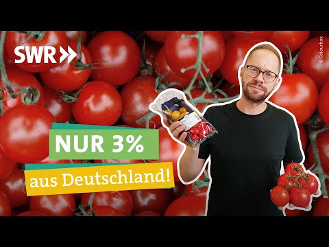 Video: Woher stammen Campari-Tomaten?