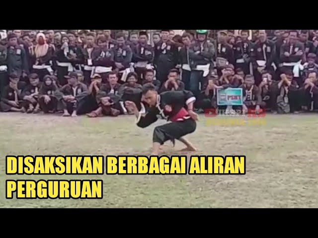 IKSPI KELUARKAN JURUS MONYET DIHADAPAN PESILAT LAIN class=