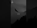 #SilentHustle#DisciplineOverMotivation#DarkMotivation#HustleMindset#FocusSeason