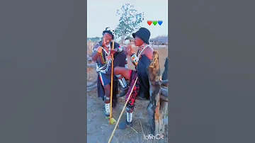 BOLANI LIMBU 