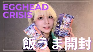 Unboxing] I opened the new One Piece set, but [It's a hard reality