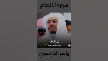 تلاوة مبكية خاشعة للشيخ ياسر الدوسري ابكى المصلين اجمل صوت في العالم