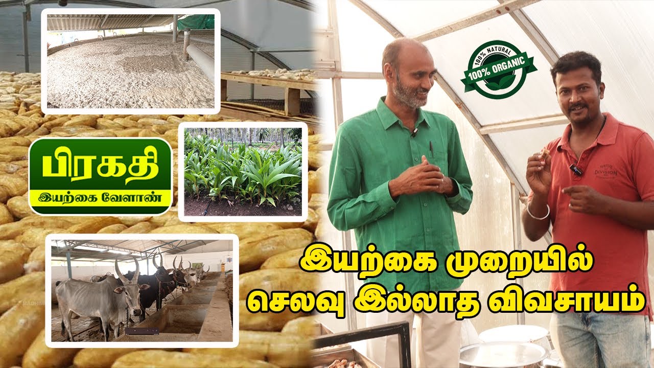 இயற்கை முறையில் செலவு இல்லாத விவசாயம் 🌴 அசர வைக்கும் விவசாய பண்ணை 🌴 | Pragathi Natural Farm