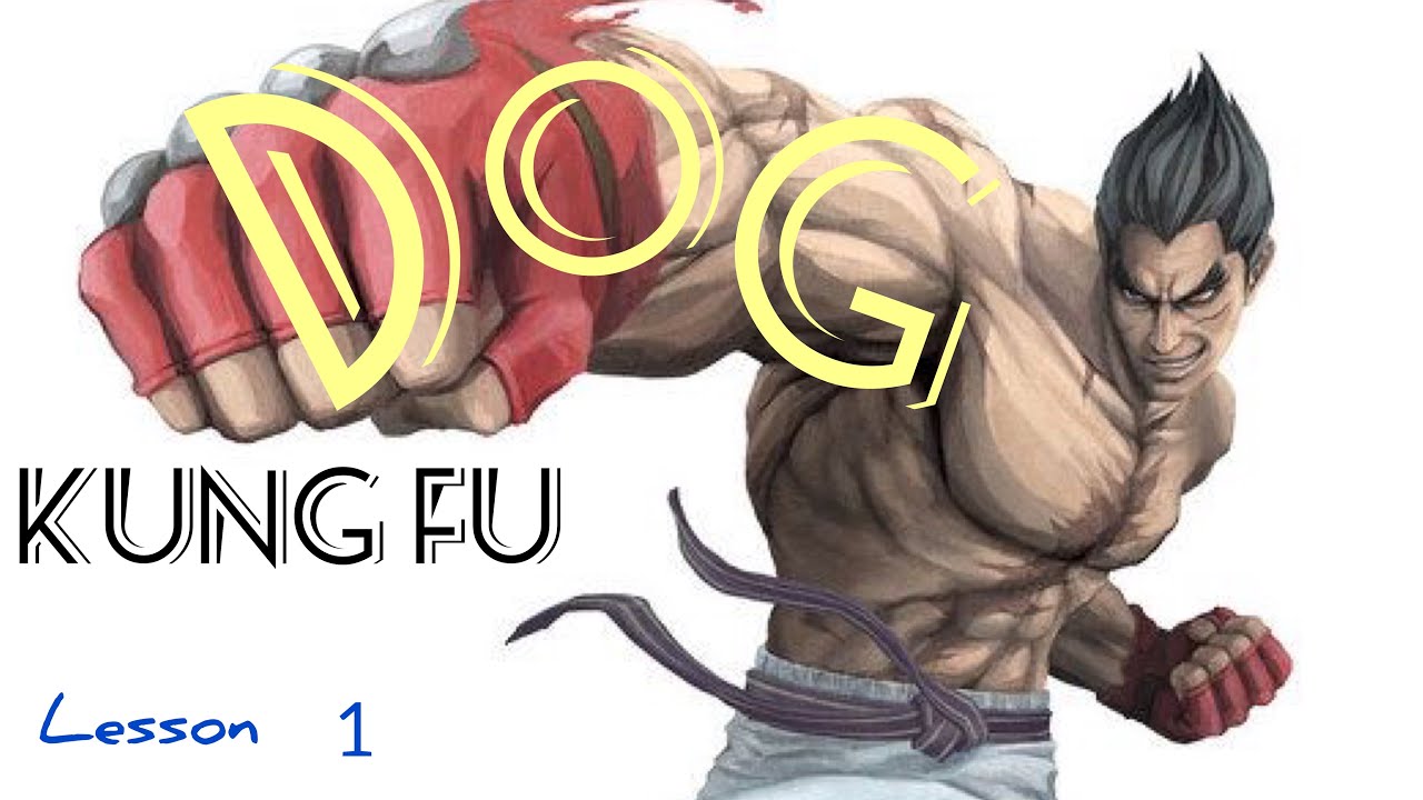 dog kung fu style lesson 1 / unleashed mad dog fighting techniques